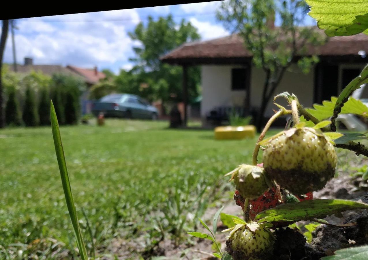 Stara Kovacnica Villa Golubac Eksteriør billede